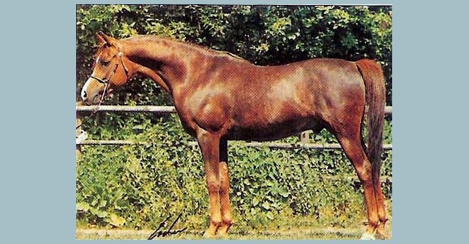 El Moniet